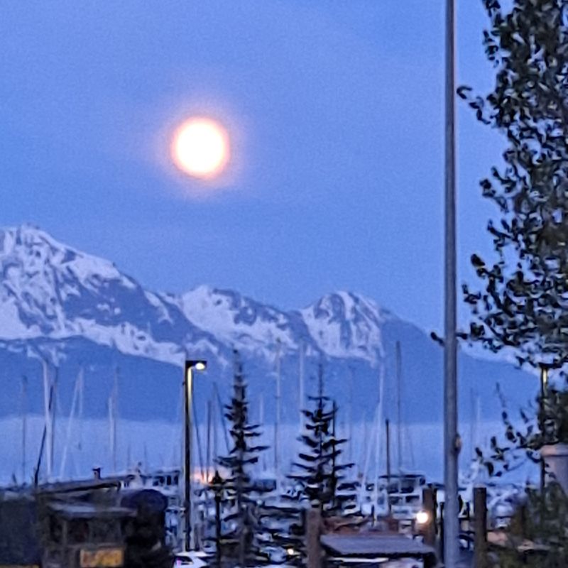 Seward’s Early Days and the Rise of the Van Gilder Building