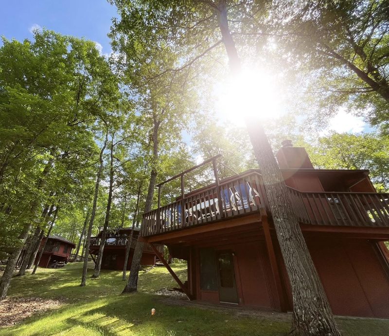 Cabins and Lodges Set Deep in the Trees
