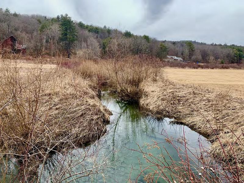 Millennia Before Colonists Arrived