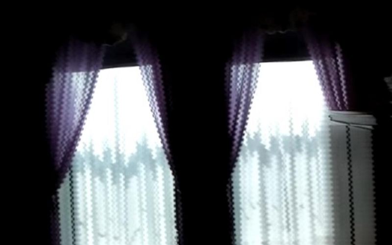 The Lilac Lady Who Still Walks the Sixth Floor