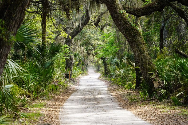The Island Trails Leading Toward the Ruins