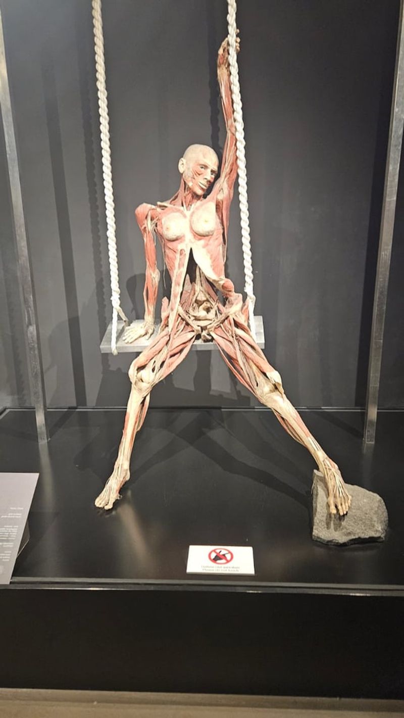 Visitor Reactions and Reviews