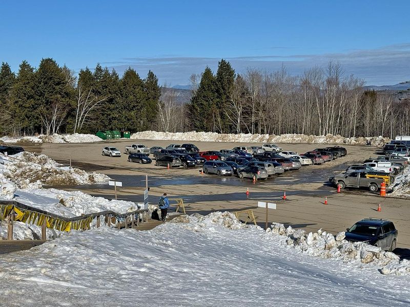 Evidence Of Renewal On The Mountain