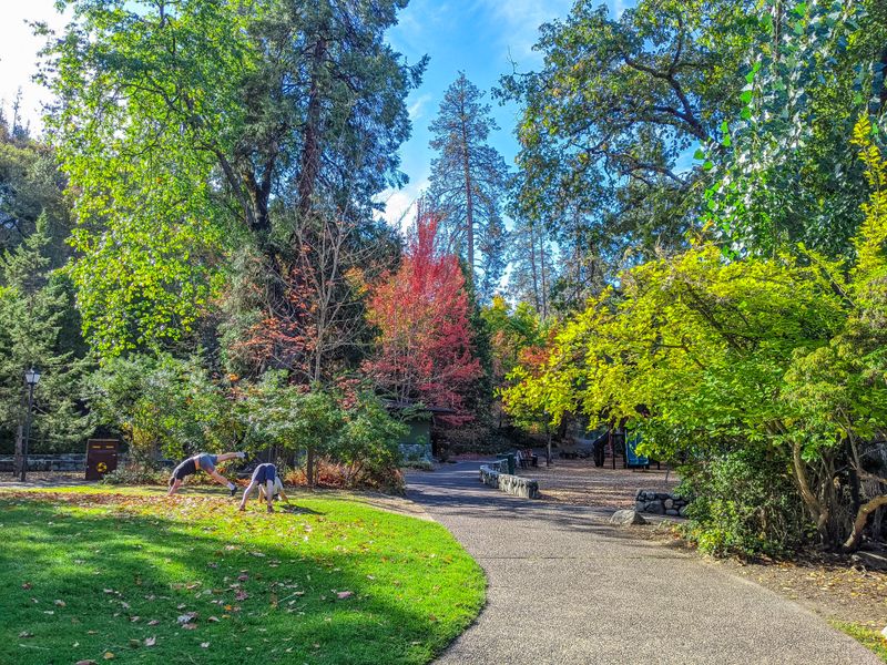 A Place Where Peace and Literature Reinforce Each Other