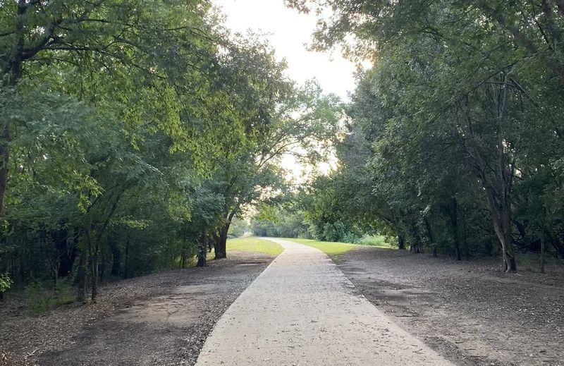 Unexpected Natural Escapes Minutes Away