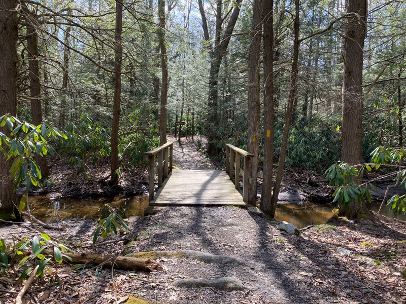 Why Locals Keep the Name to Themselves