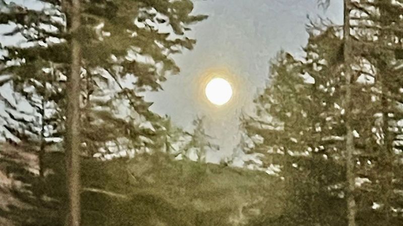 Echoes Under Silver Skies