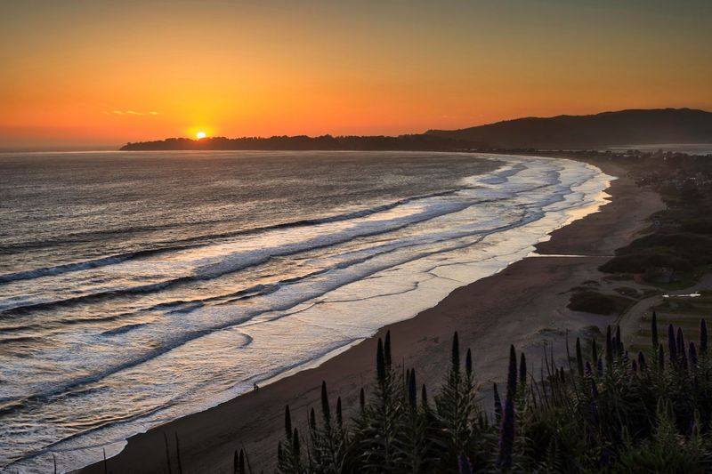 A Coastal Mood You Cannot Manufacture