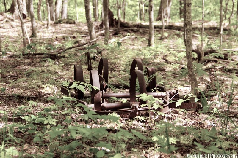 Why the Lost Village Remains Part of Vermont Lore