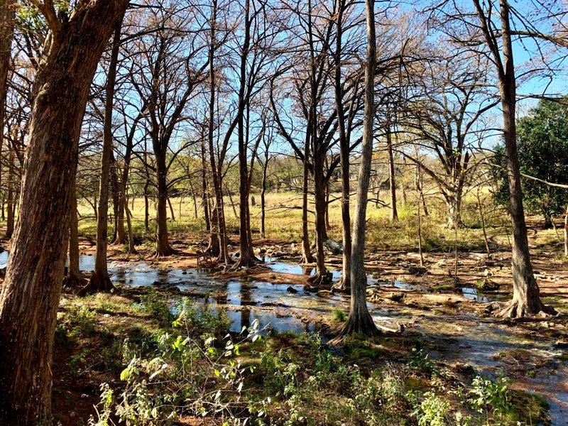Cypress Creek Nature Trail and the Sound of Leaves