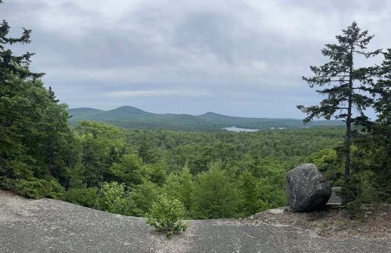 Endless Forest Trails for Quiet Exploration