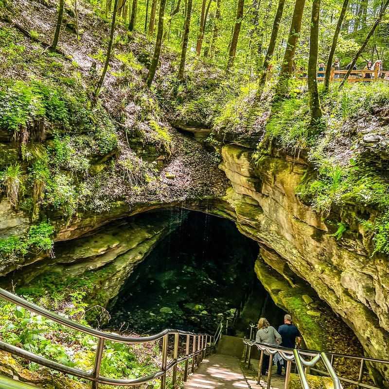 Light, Wind, and Greenery Fill the Rooms