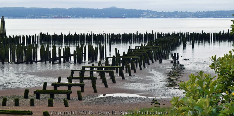 A Building That Still Stands in Quiet Decay