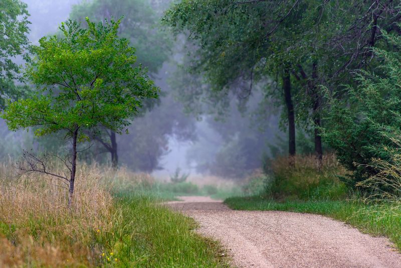 Outdoor Spaces That Never Feel Overrun