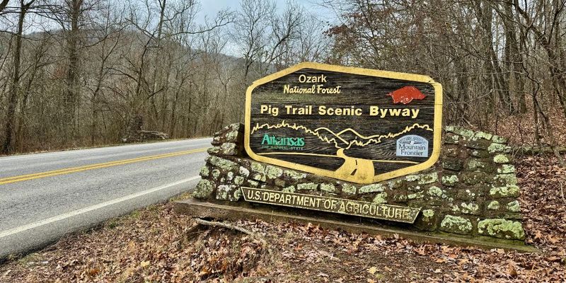 A Canopy That Changes With Every Season