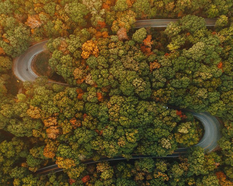 A Backroad That Feels Separate From Modern Speed