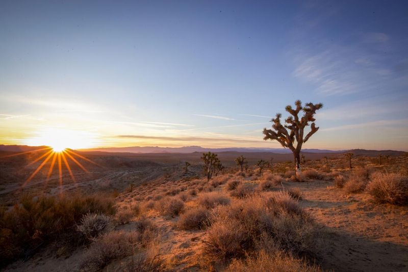 They Encourage Heading Inland Away from the Coast
