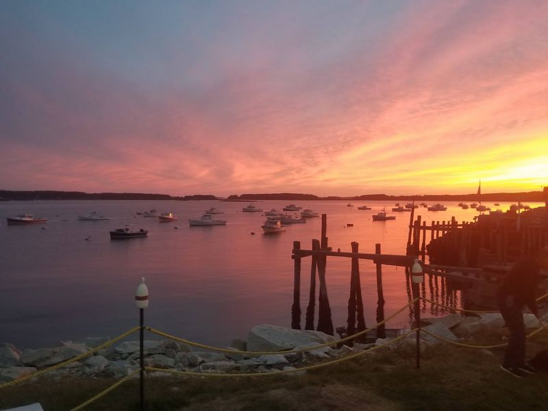 Harbor Views That Shape the Experience