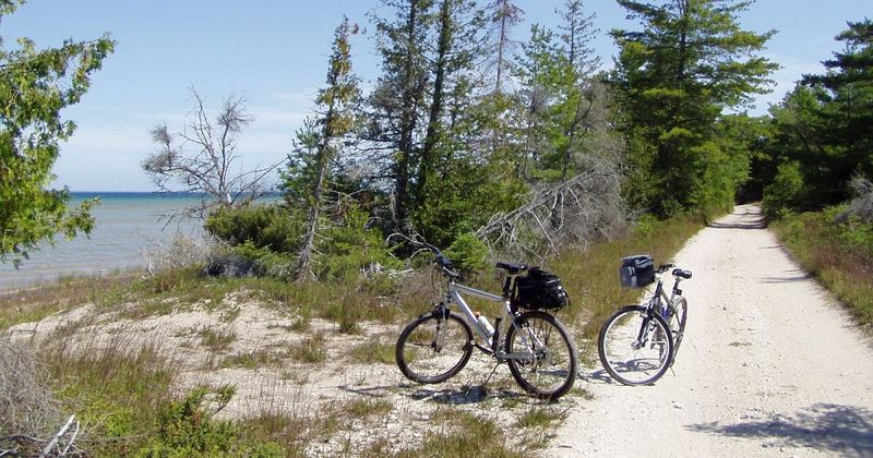 Forest Roads That Reveal the Island’s Interior