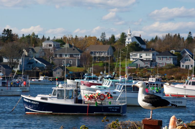 The Smell of Salt, Rope, and Fresh Catch