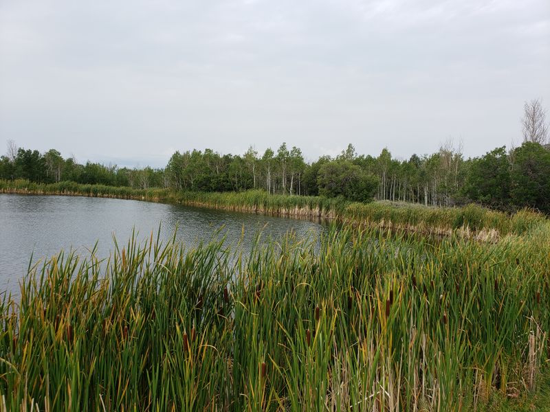 Why Travelers Seek Out This Tucked Away Utah Community in Winter