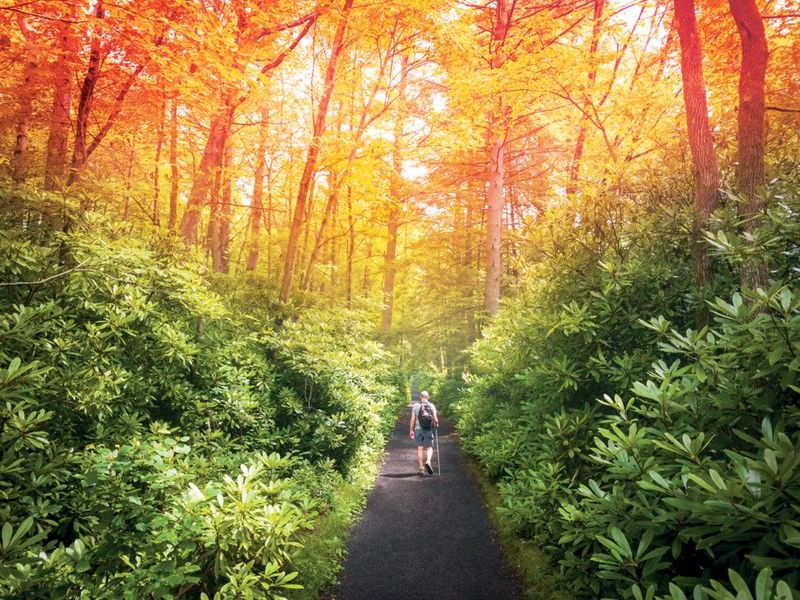 Four Distinct Seasons