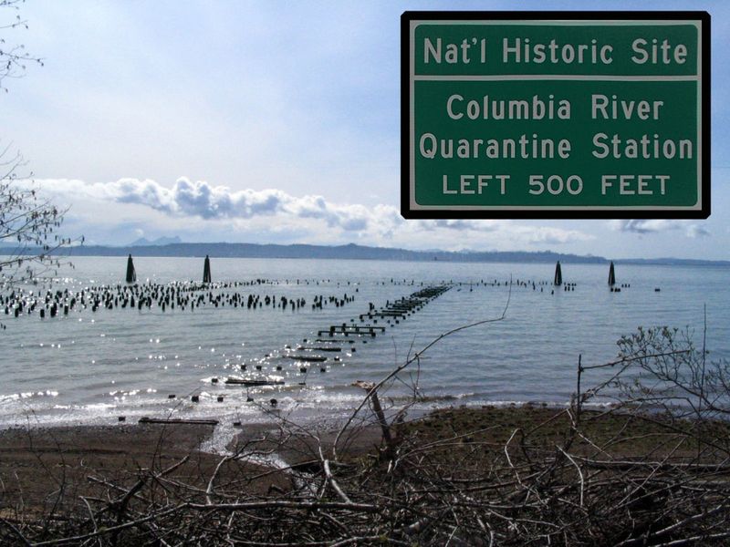 The River’s Acoustics Amplify Every Sound