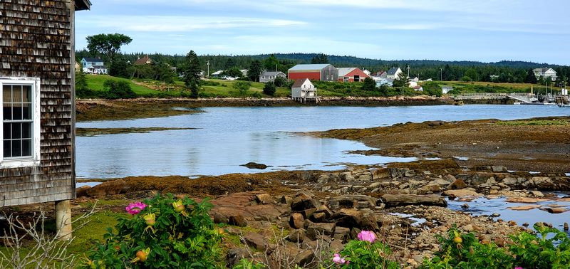 Welcome to Winter Harbor: A Portrait in Miniature