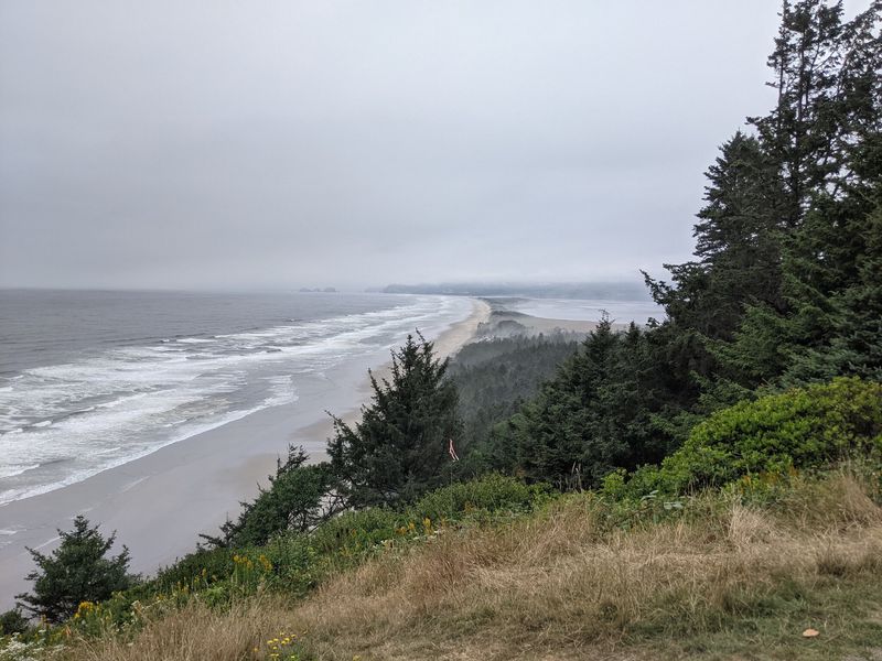 Nature Reclaimed What Humans Tried to Conquer