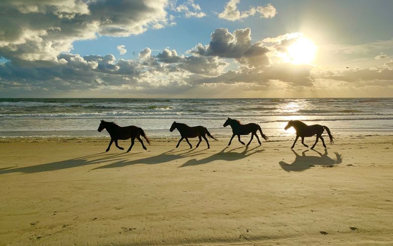 The Spirit of Freedom