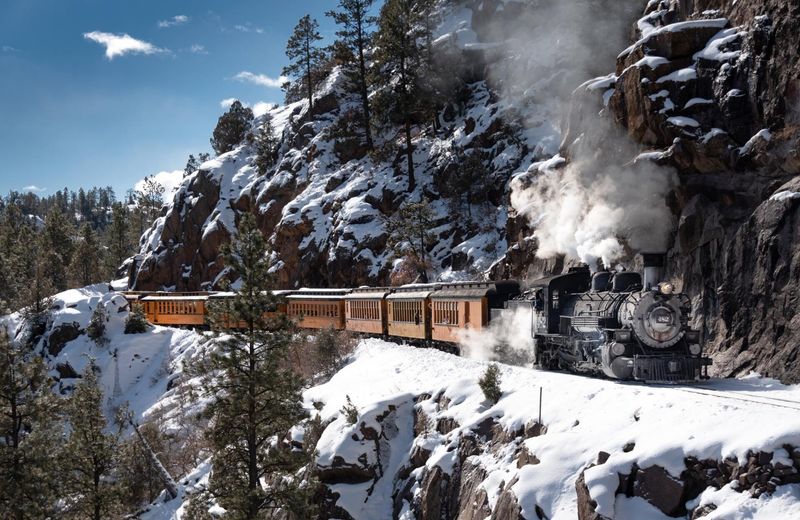 Spot Wildlife in Protected Wilderness