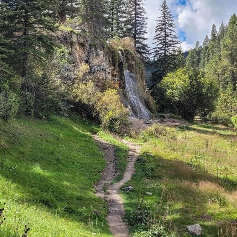 Local Trails With Forest Views in Every Direction
