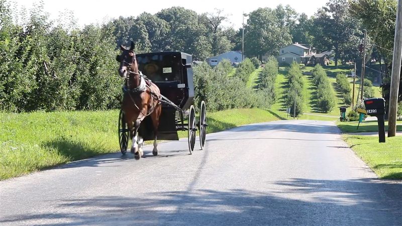 Quiet Streets That Feel Removed From the Highway