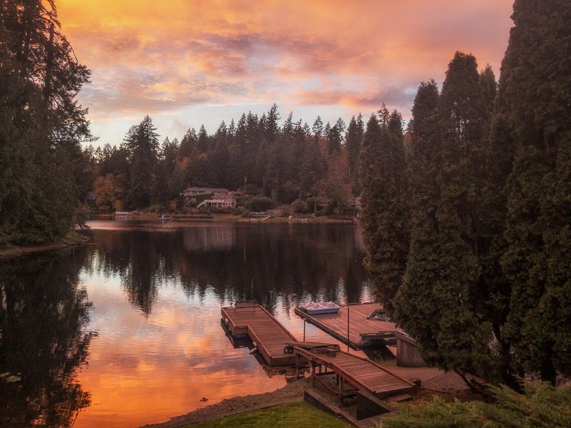 How Lacey Gained a Reputation for Calm Living