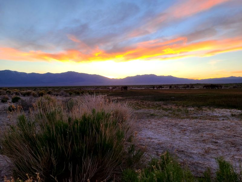 A Landscape Marked by Long, Unbroken Views