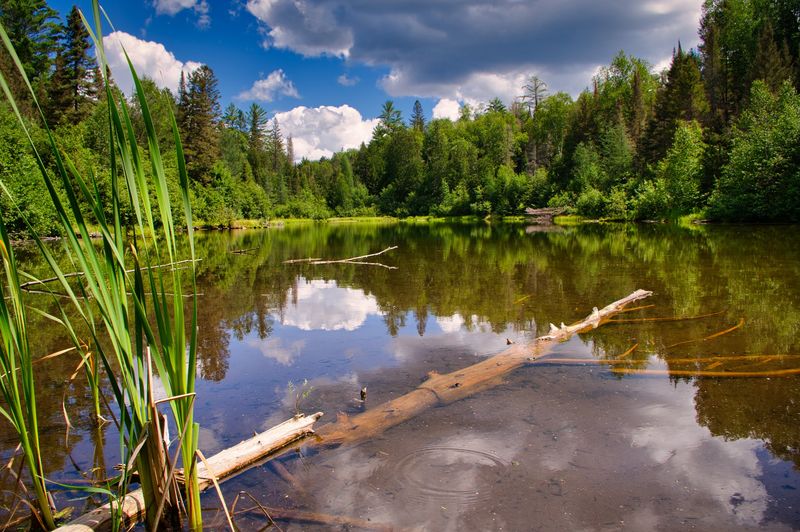 Nearby Wilderness Areas With Wide Open Silence