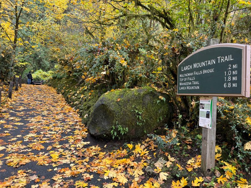 Safety and stewardship that keep the magic intact