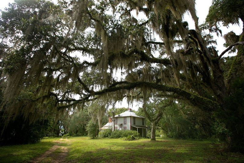 The quiet of absence