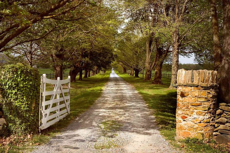 Middleburg - Horses, History, and Hushed Luxury