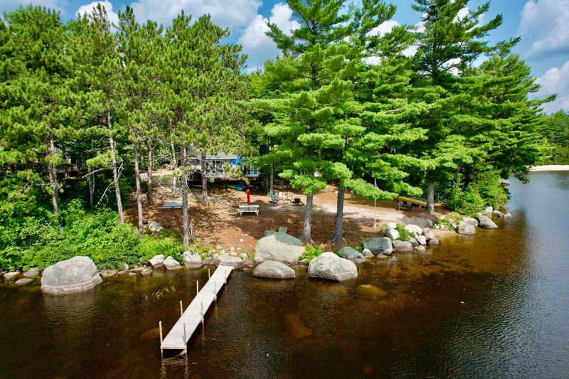 Seasonal Changes That Transform the Landscape