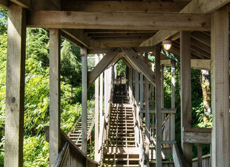 Freshness That Sings