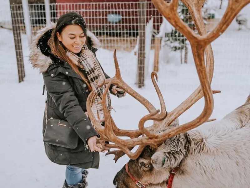 Reindeer Farm Brings Storybook Fantasy to Life