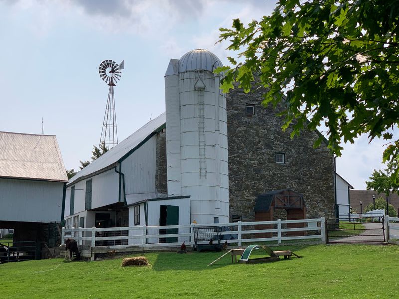 Amish Christmas Cookie Tour