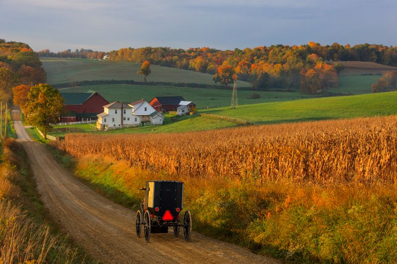 Inside Family Homes and Farmhouses