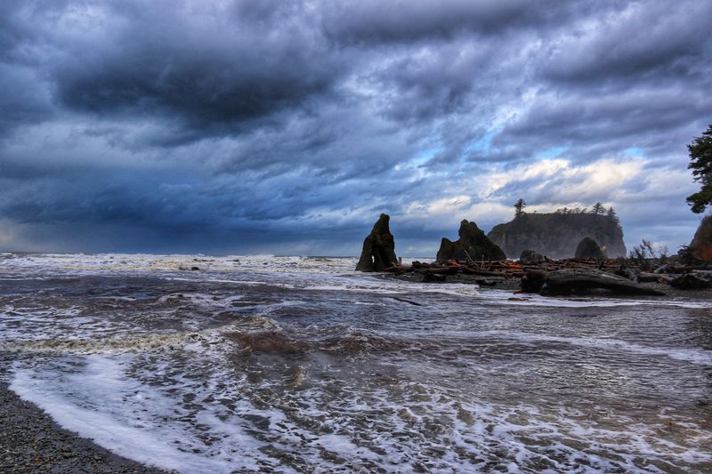 Storm Songs - Wind, Rain, and Creaking Pines