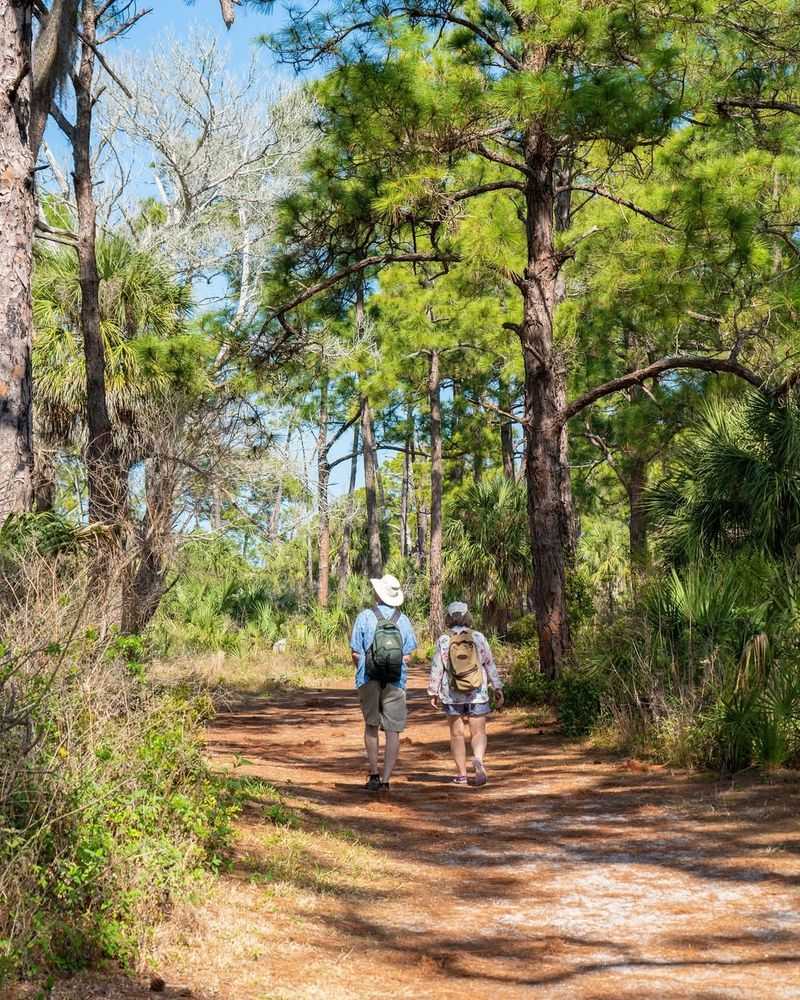 Honeymoon Island State Park
