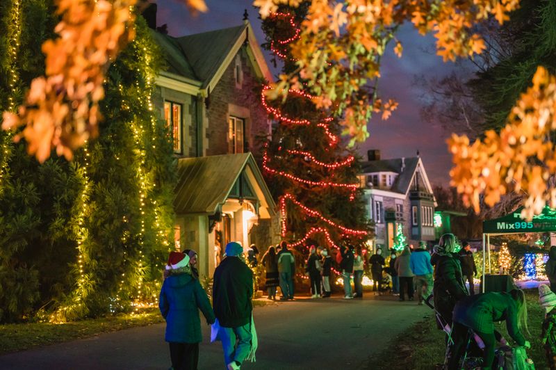 Embrace the Holiday Spirit