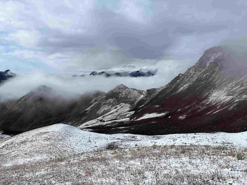 Ignoring Weather Shifts