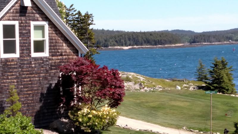 The Winter Community: Warmth and Hospitality