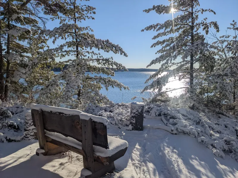 The Quiet of Winter Adds to the Mood